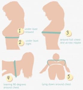 This image shows how to measure your breasts.